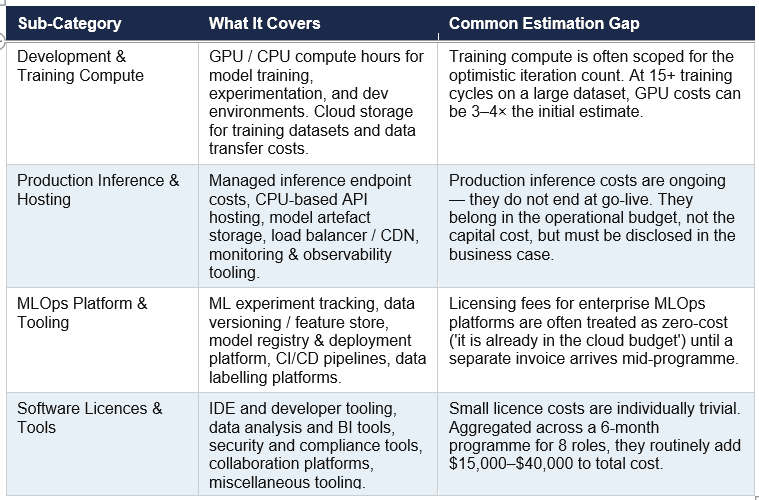 AI Project Infrastructure and licensing budget categories, what it covers and common estimation gaps